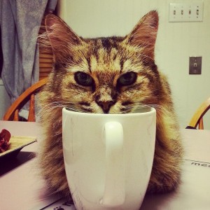 Jasmine thinks August is going to be very, very caffeinated.