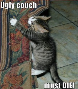 ugly couch cat