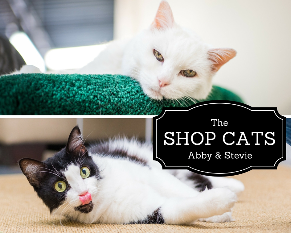 Shop Cats