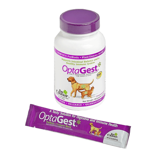 Wellness – tagged 
