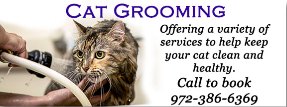 Grooming Services