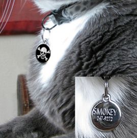 The Cat Connection Red Flat Stainless Steel Brass Tags