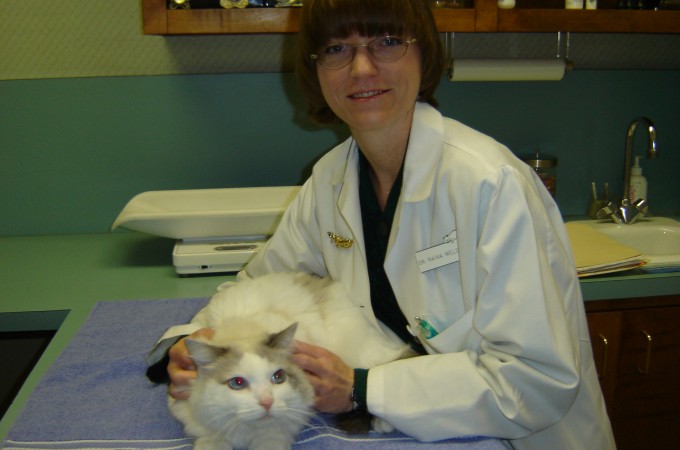 Do not Declaw Dr. Weldon of the Cat Hospital of Dallas is PRO-CLAWwith Dr. Weldon