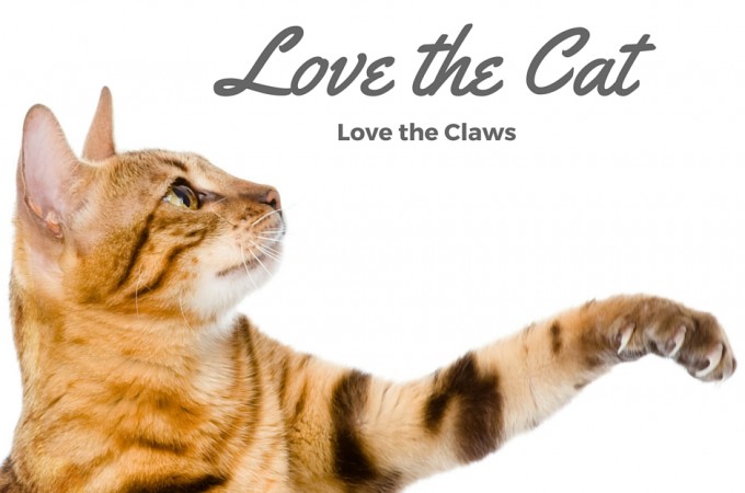 Love the Cat, Love the Claws